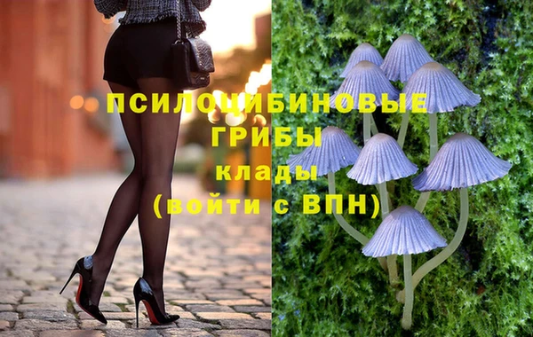 бошки Ступино