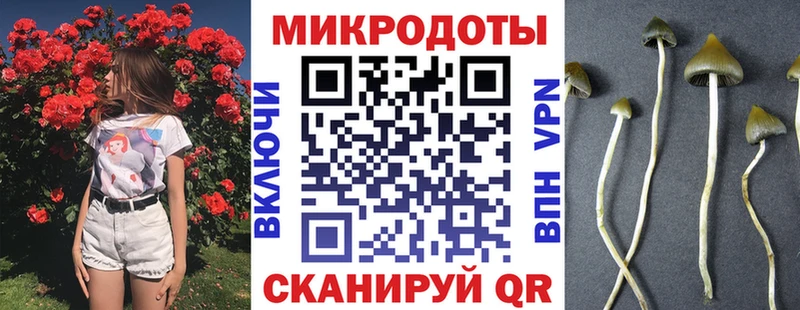 Псилоцибиновые грибы прущие грибы Павлово